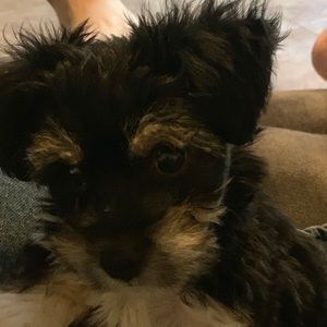 Meet your Posher, Valerie